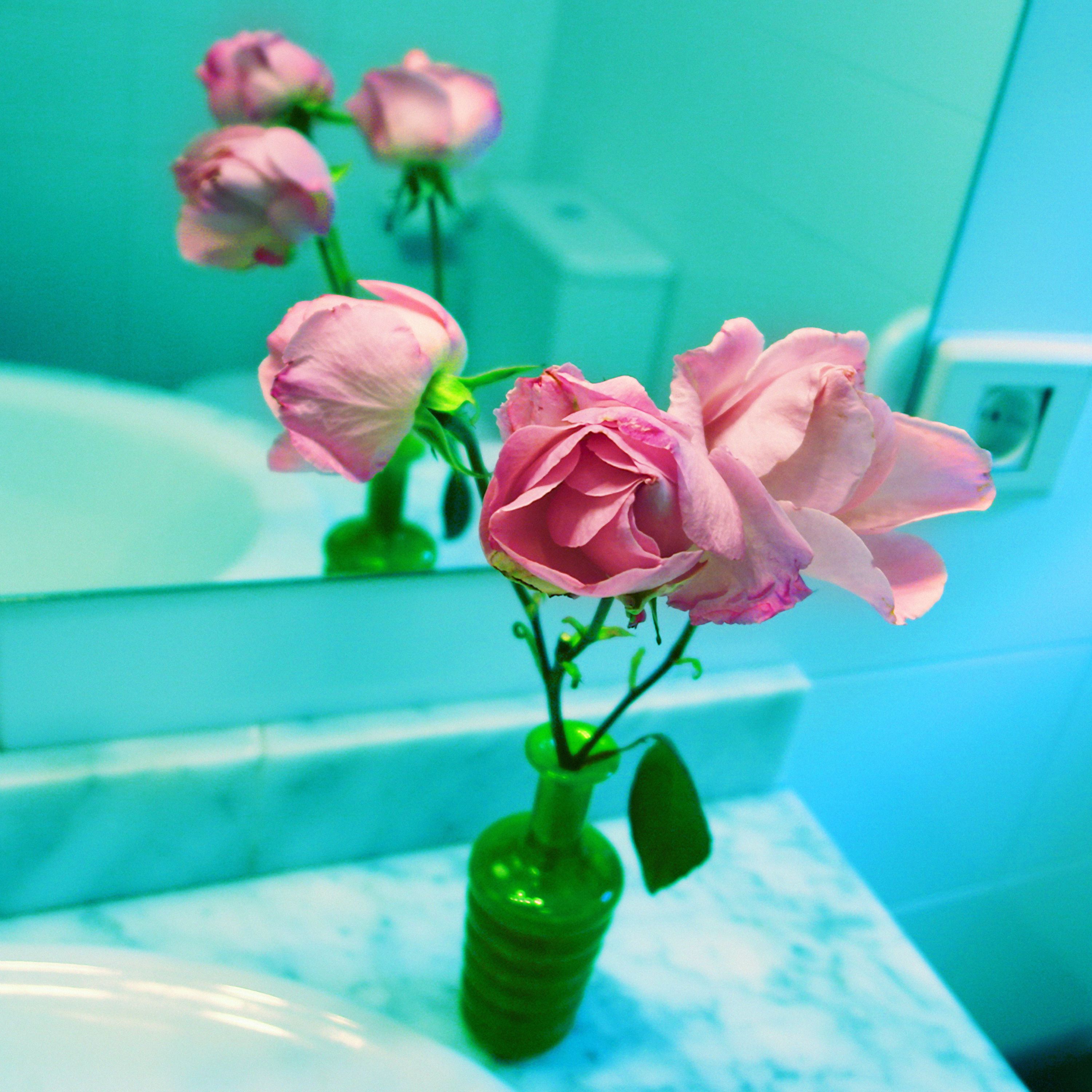 7 Tro rosa-rosae para Claude Monet. Fotografa digital. 70x70 cm. 2007